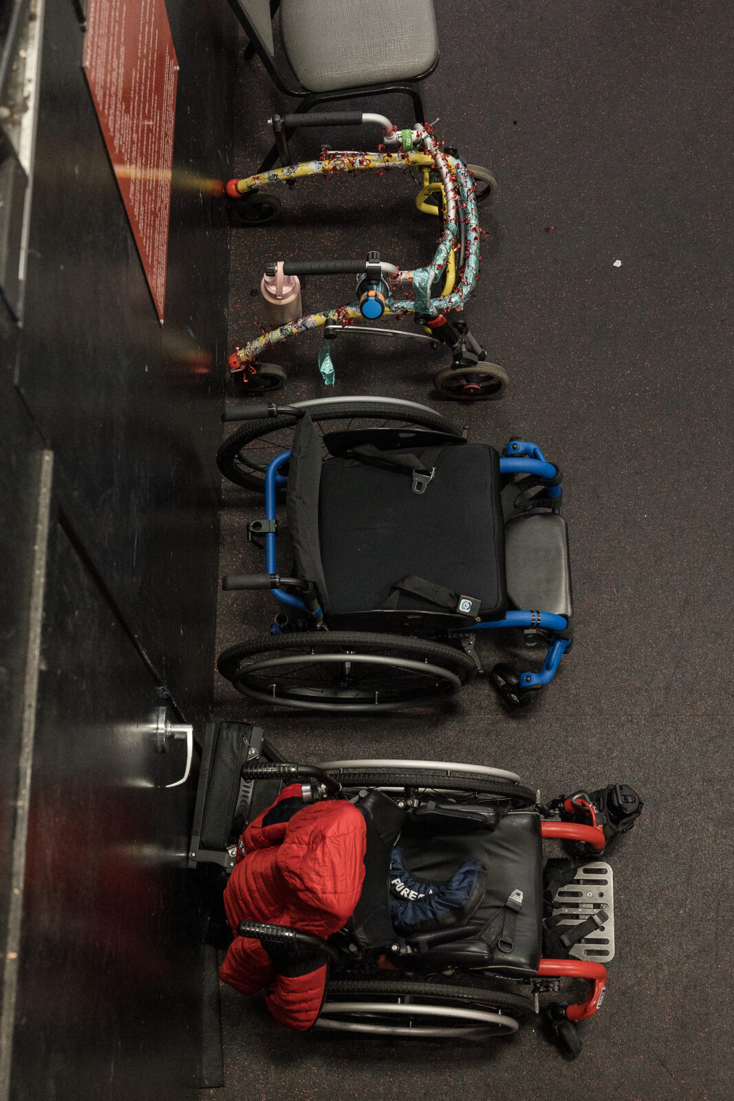 An image of three-lined adaptive sleds from Dahlias Sledwings team