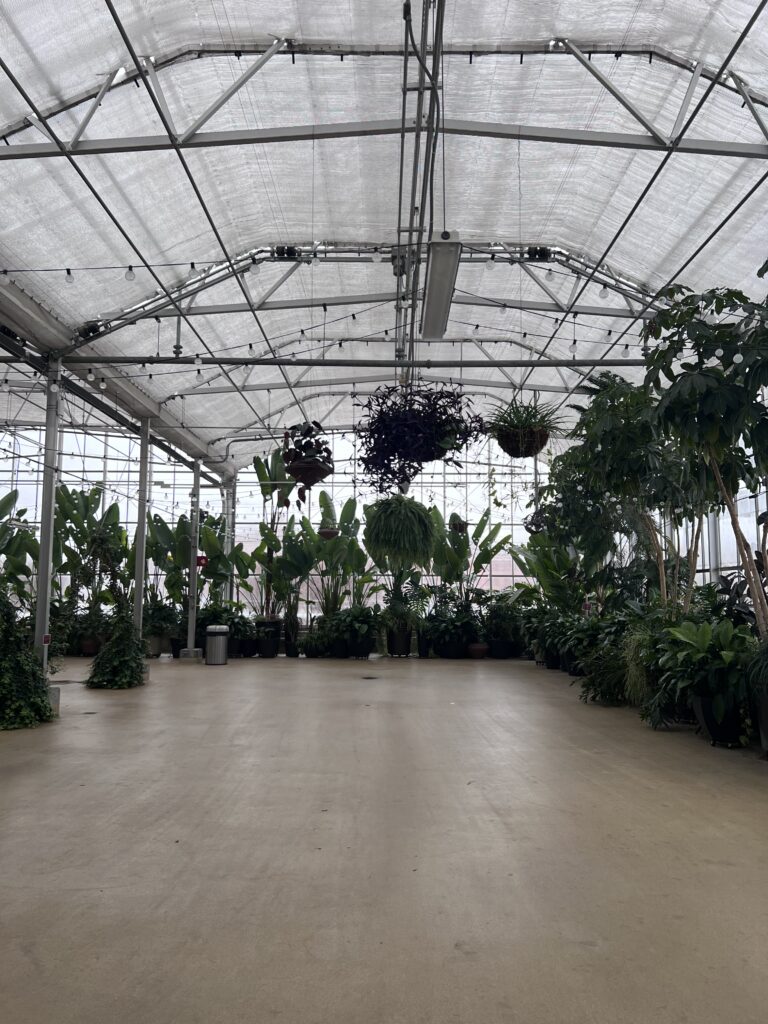 Greenhouse event space with a wide, flat floor and plants around the edges