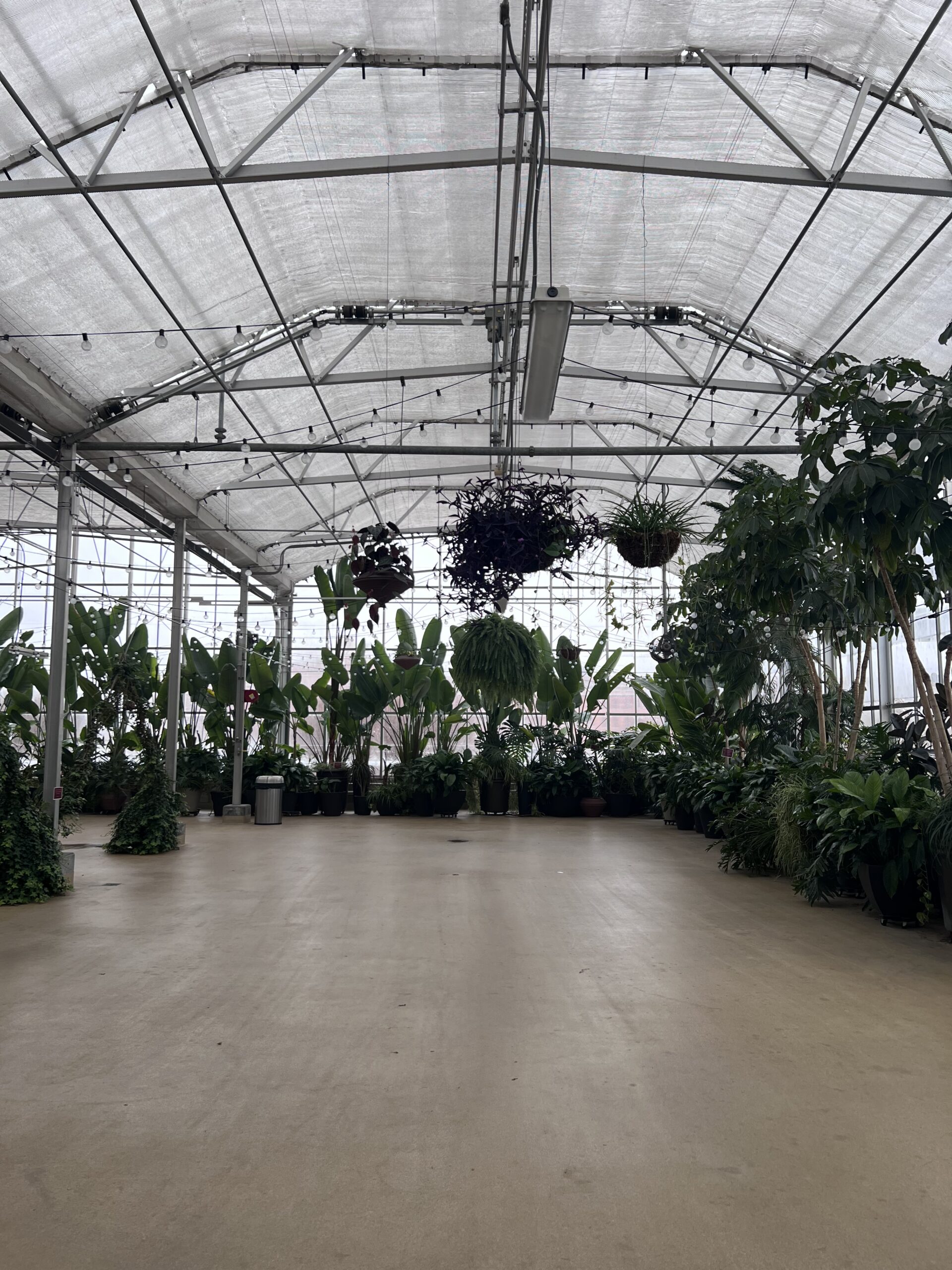 Greenhouse event space with a wide, flat floor and plants around the edges