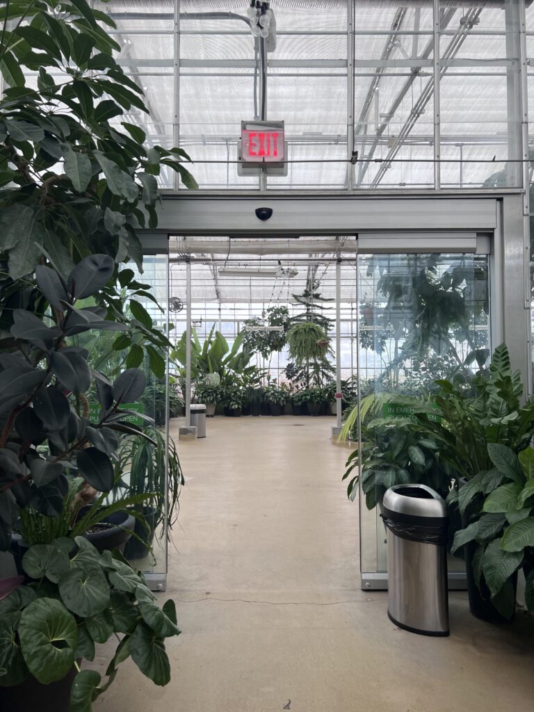 Wide sliding glass door leading into the Greenhouse, with a sensor above it