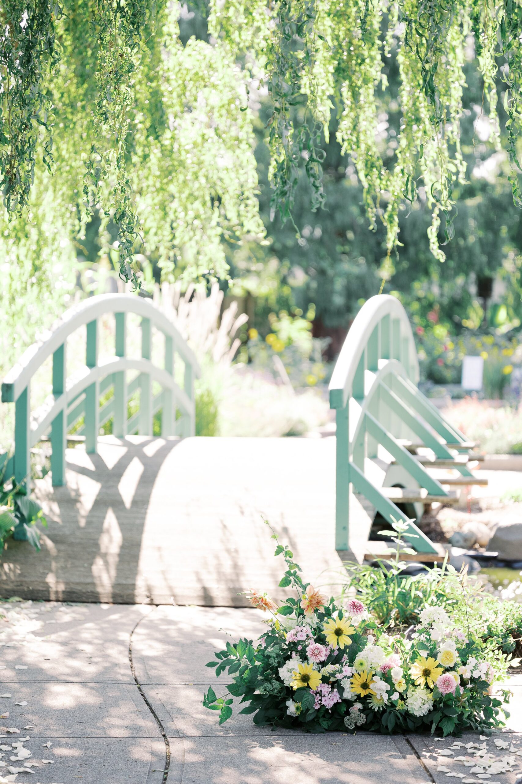 Garden bridge under a willow tree with flowers set out for Katie and Saleem's proposal at Michigan State University